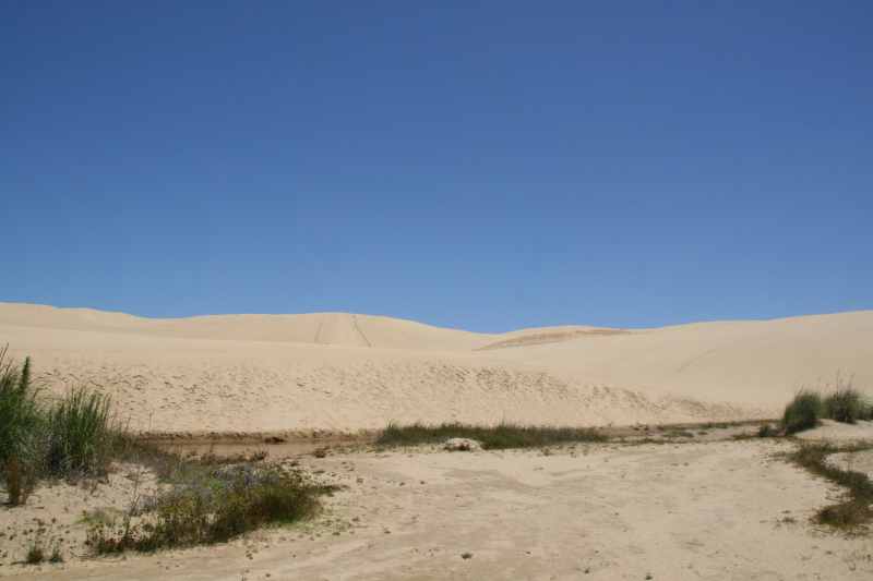 Nieuw-Zeeland 2011 - 0355